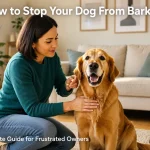 How to Stop Your Dog From Barking: A Complete Guide for Frustrated Owners