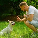 How to Get a Dog to Stop Barking: The Complete 2026 Guide